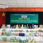 2023 Đánh giá, chấm điểm hồ sơ sản phẩm (vòng sơ khảo, đợt 1)