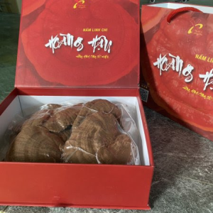 Nấm linh chi Hoàng Hậu