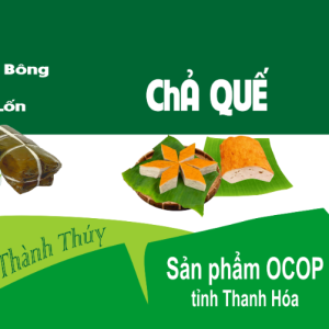 Nem chua Thành Thúy