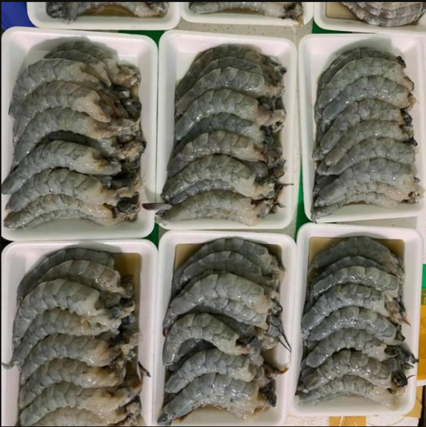 Tôm nõn tươi Hiếu Thảo